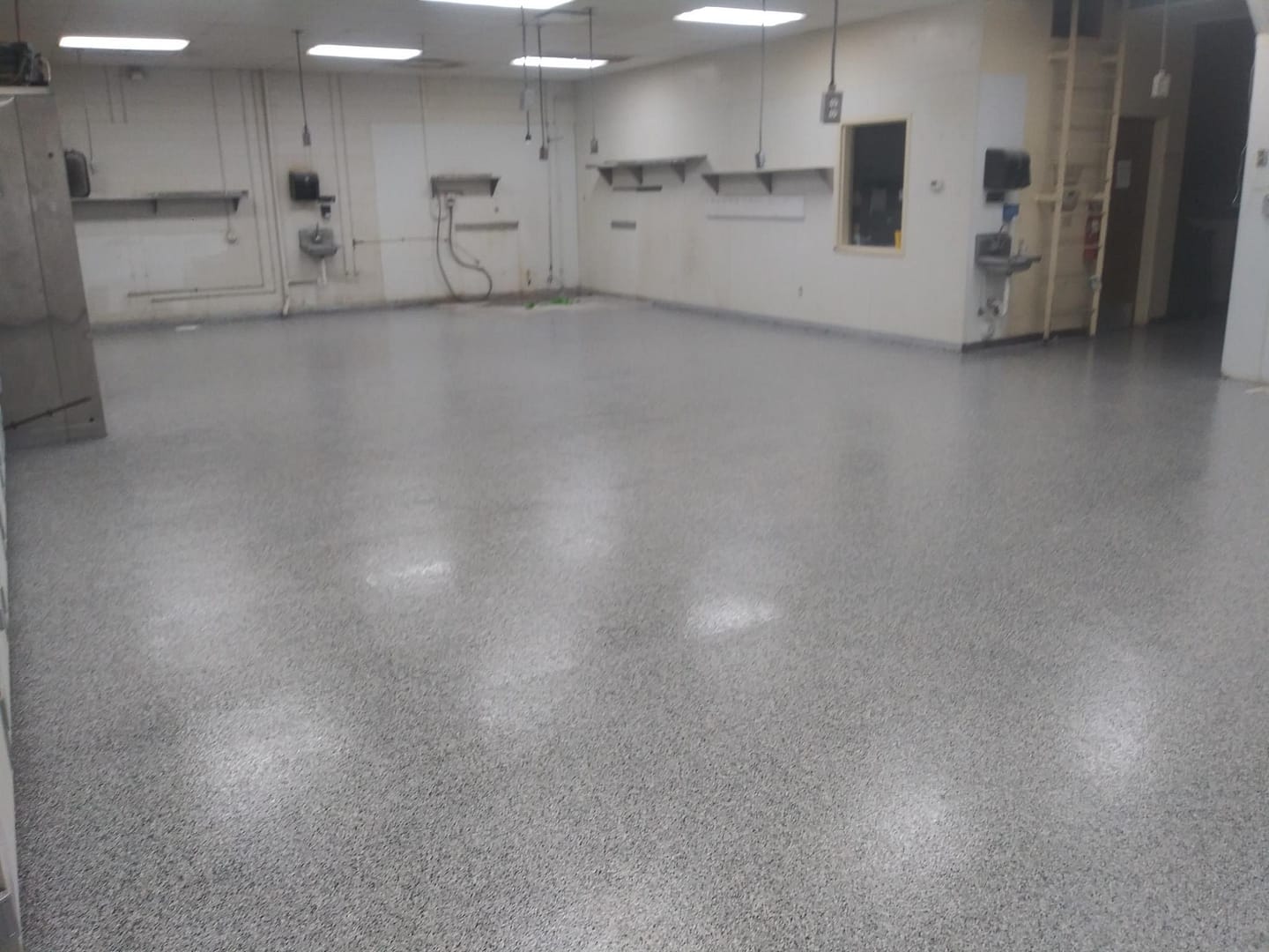bakery colorado springs finished floor